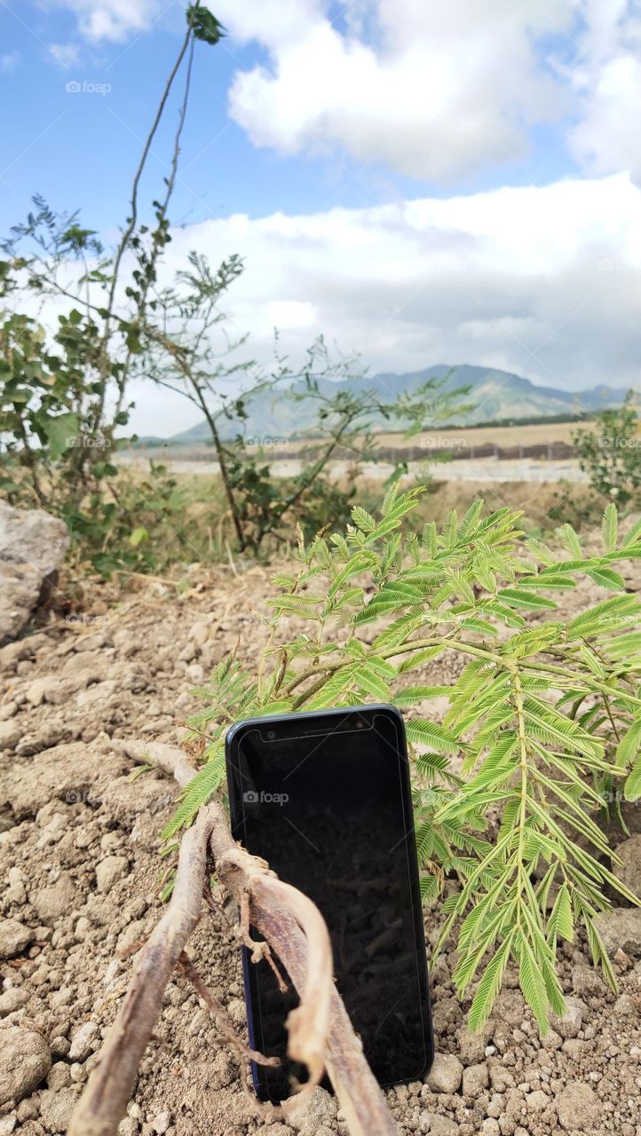 handphone to holiday