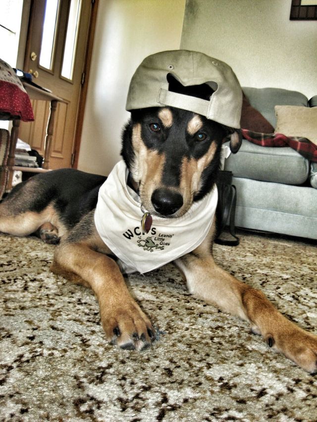 Wassup