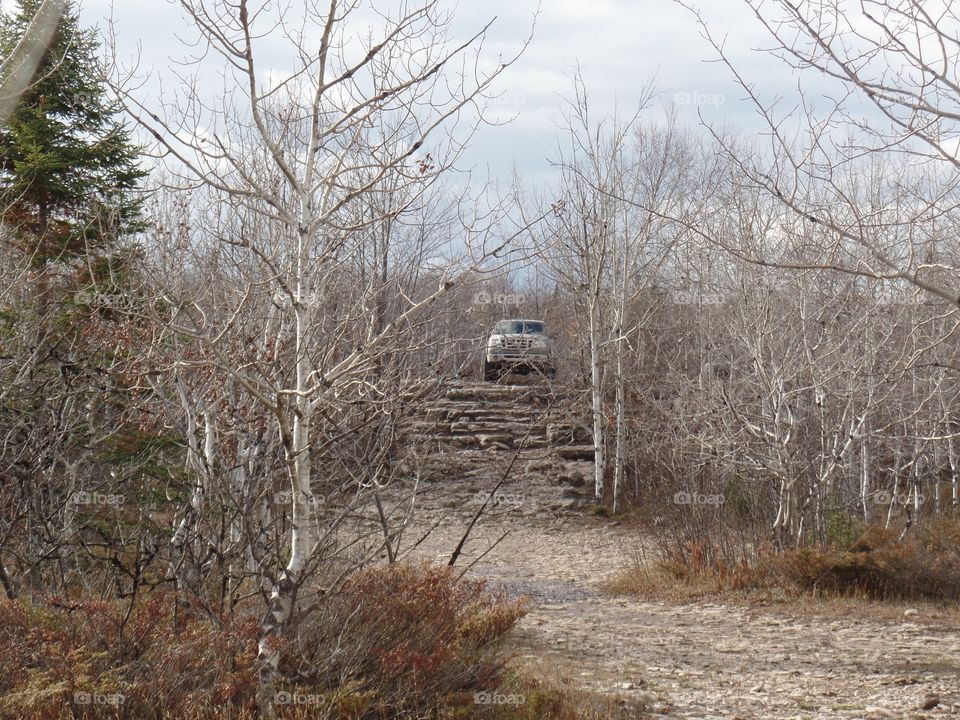 Drummond Island, Michigan 