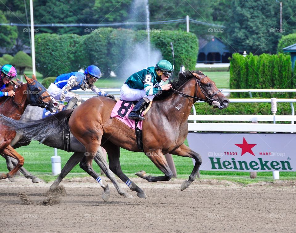 Pulling G's winner. Racing from historic Saratoga with Junior Alvarado bringing Pulling G's home in front. 

zazzle.com/FLEETPHOTO 