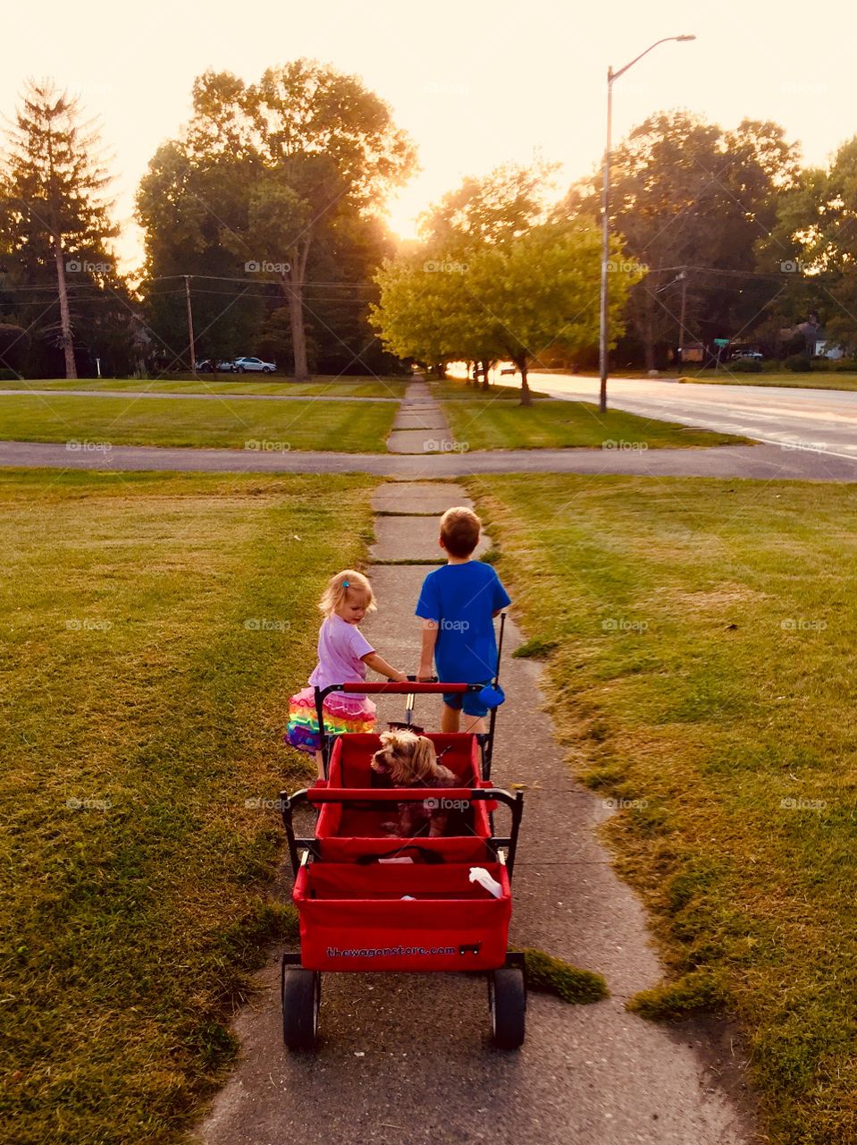 Enjoying an after dinner walk through the neighborhood with the kids as they exercise teamwork while pulling our tired dog in a red wagon down a long sidewalk leading us straight into a beautiful autumn sunset guiding us back home before bedtime 