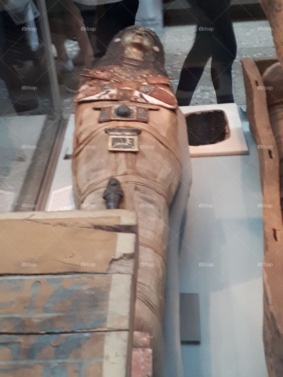 Egyptian Mummy