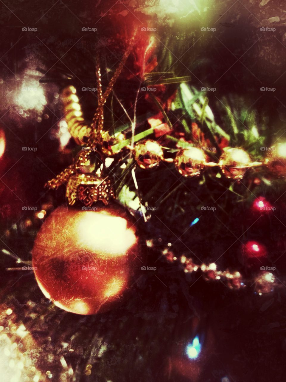 tree christmas holiday festive by roblaughton
