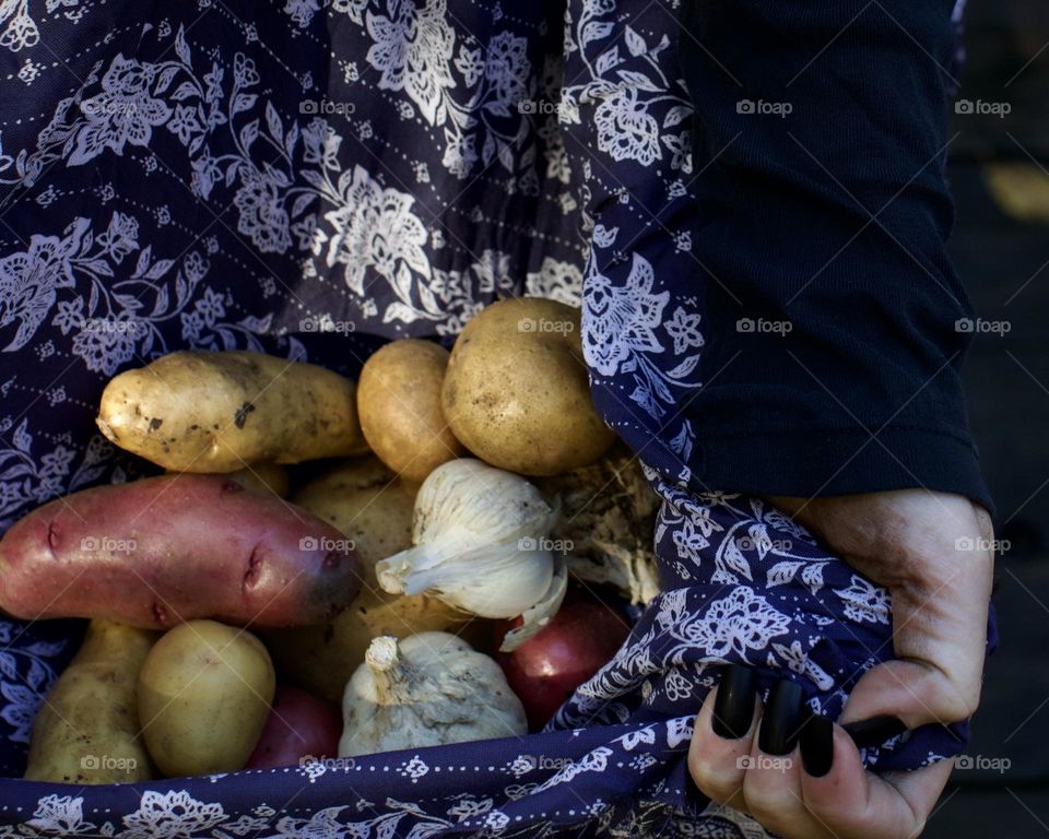 The days harvest; Woman holding fresh potatoes and garlic in a blue scarf