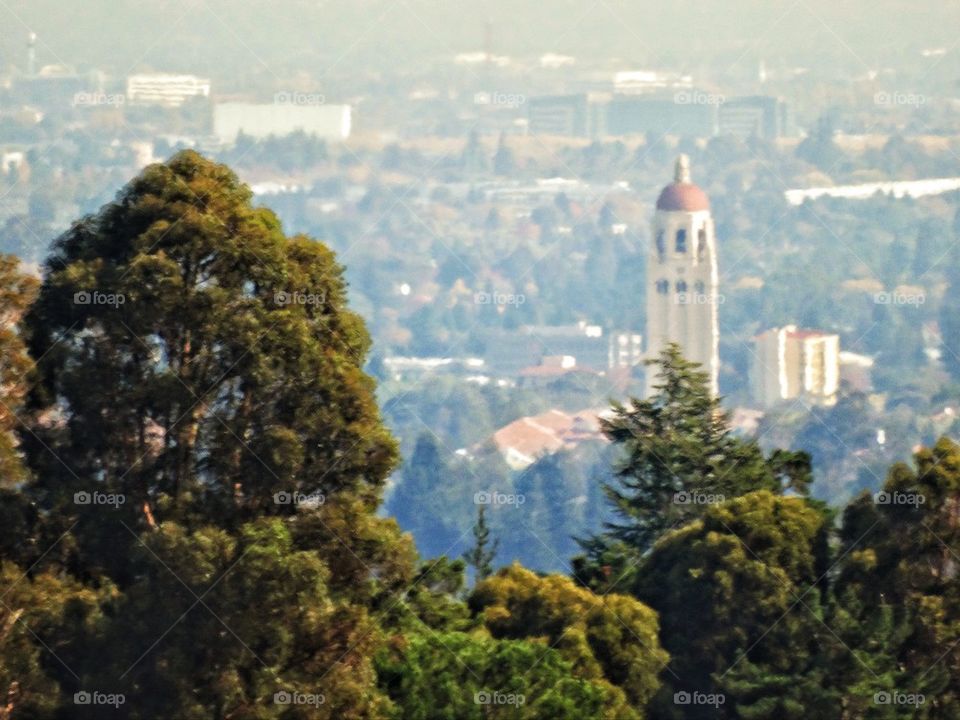 Stanford University scenic view