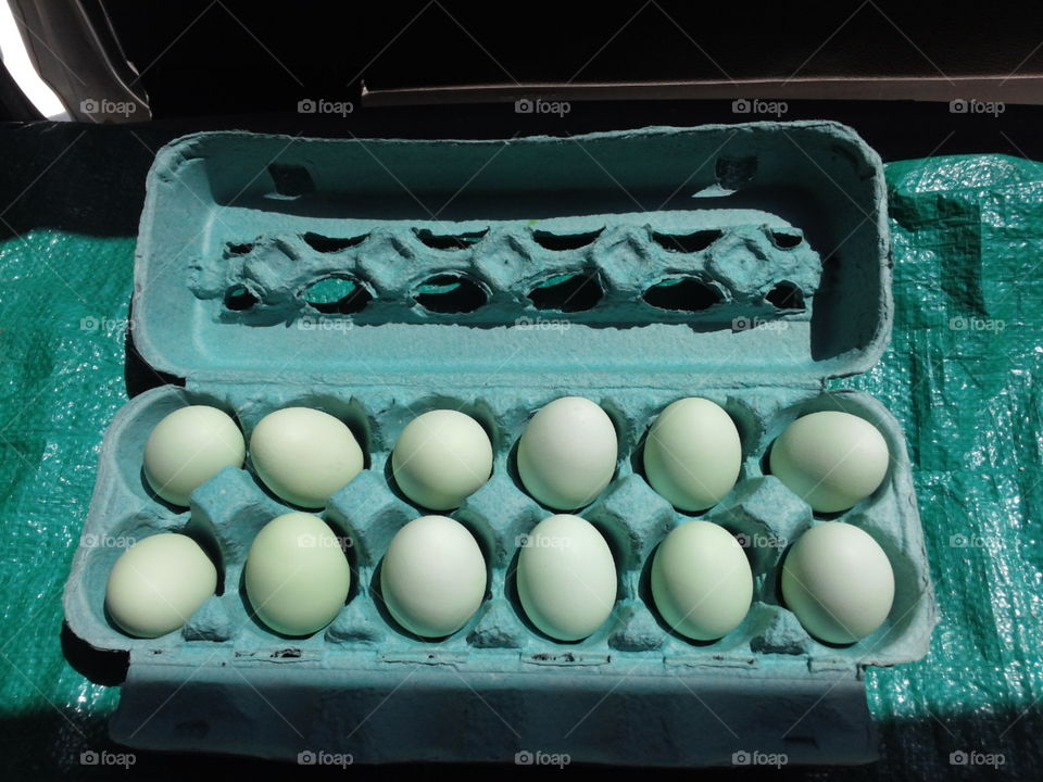 Blue-Green Eggs