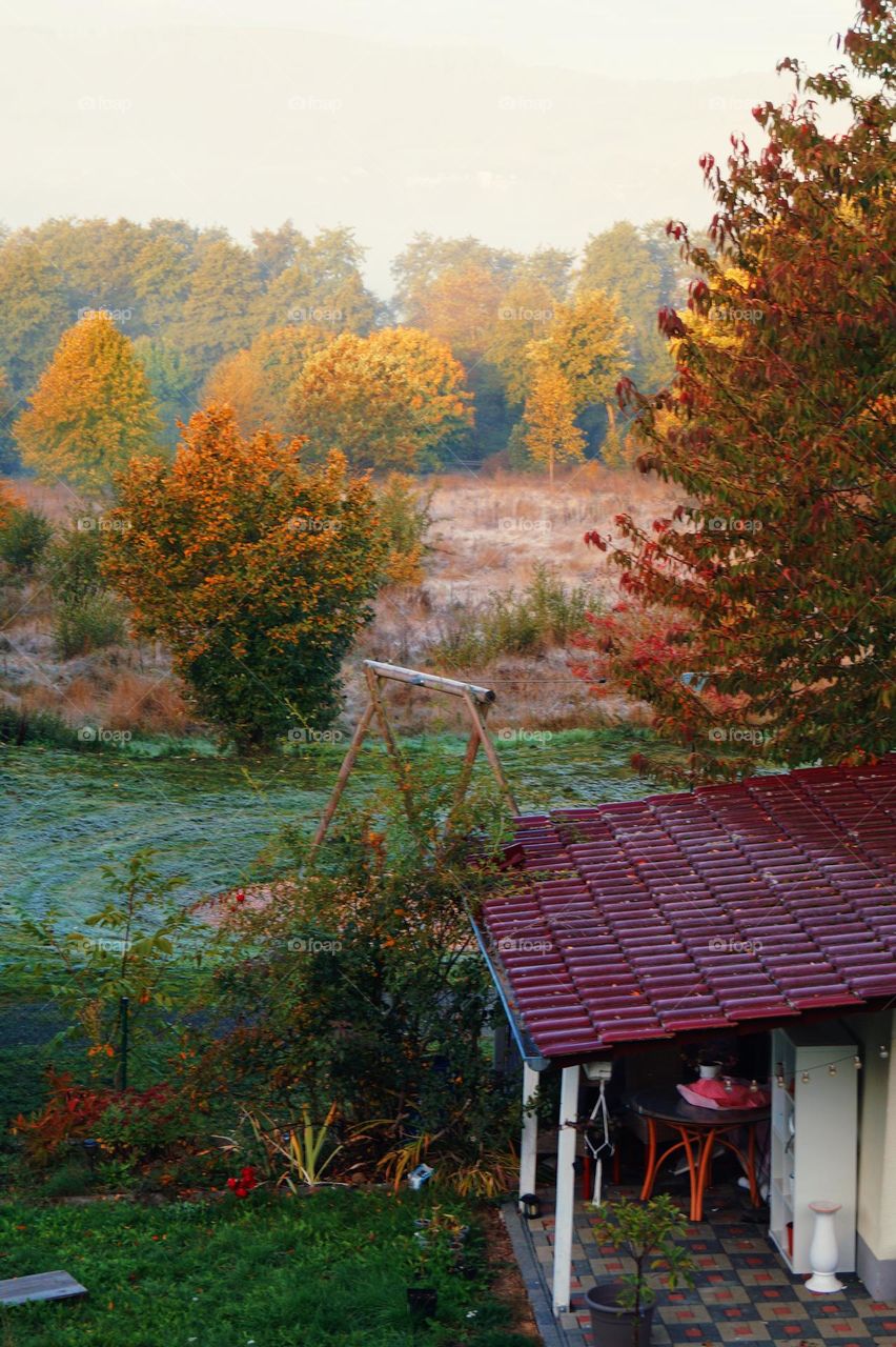 Frosty morning 