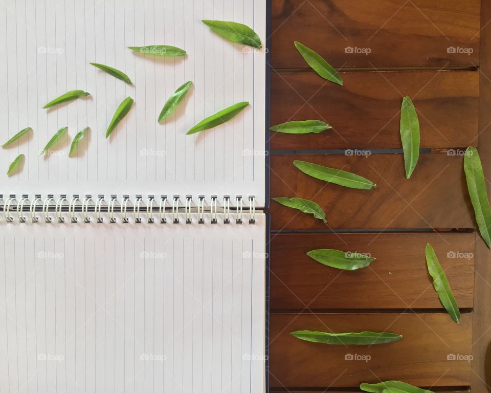 Knowledge for creating environmental sustainability 