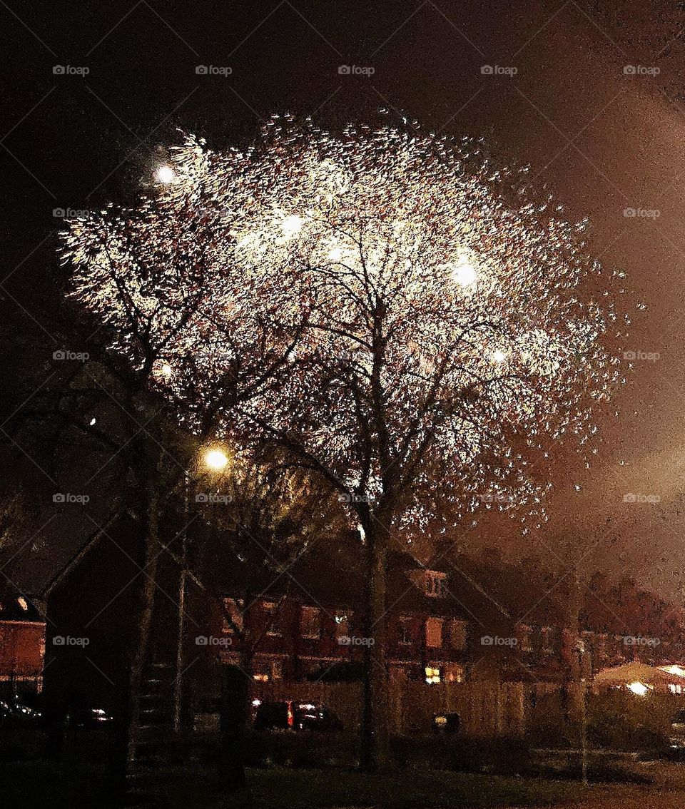 Fireworks looks like tree