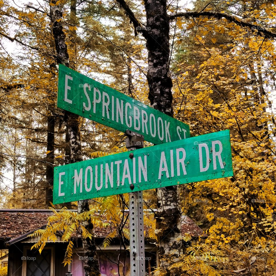 Road, Guidance, Street, Sign, Signal