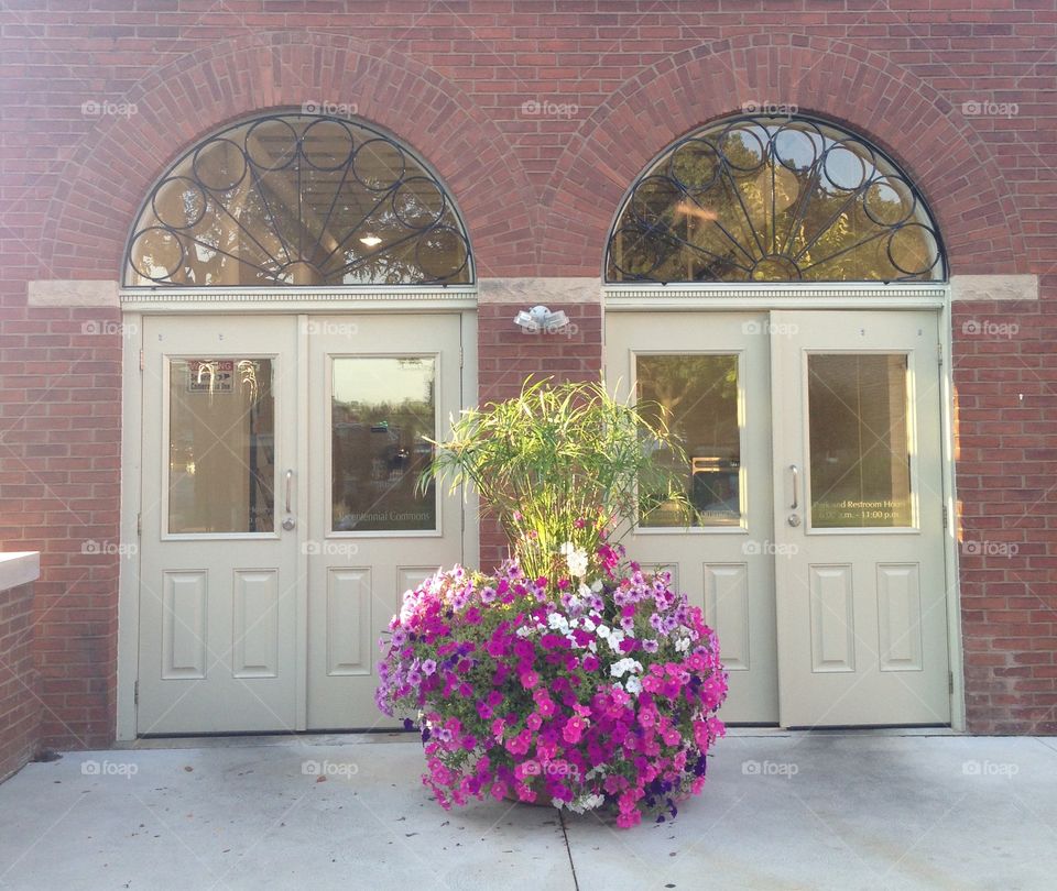 Arched Doorways with Flowers 