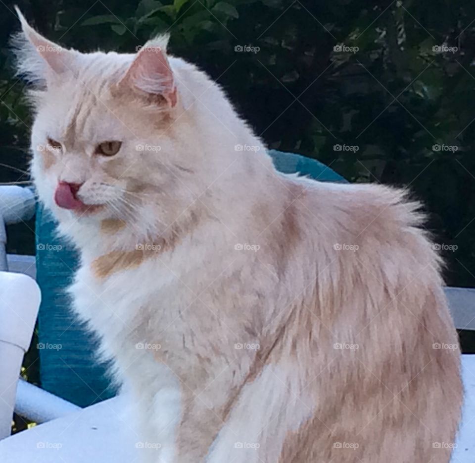 My nose is getting sunburned!