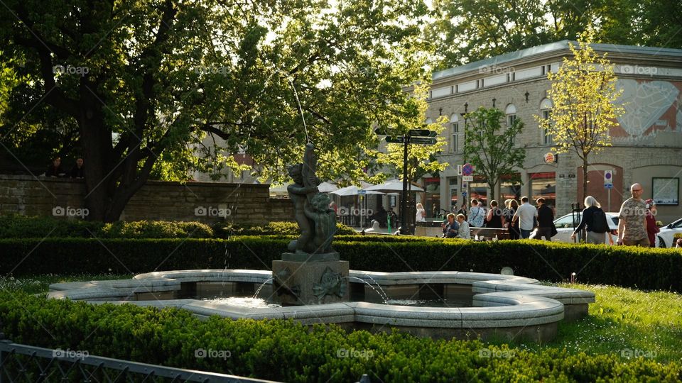 fountain about two boys trying to catch a fish