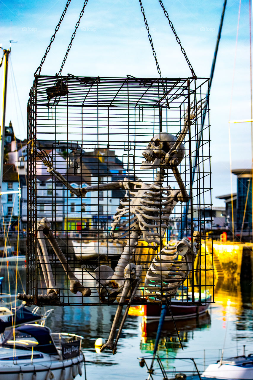 pirate skeleton hangs in cage over Brixham Harbour during pirate festival