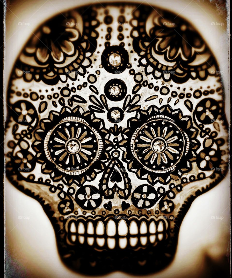 Sepia skull