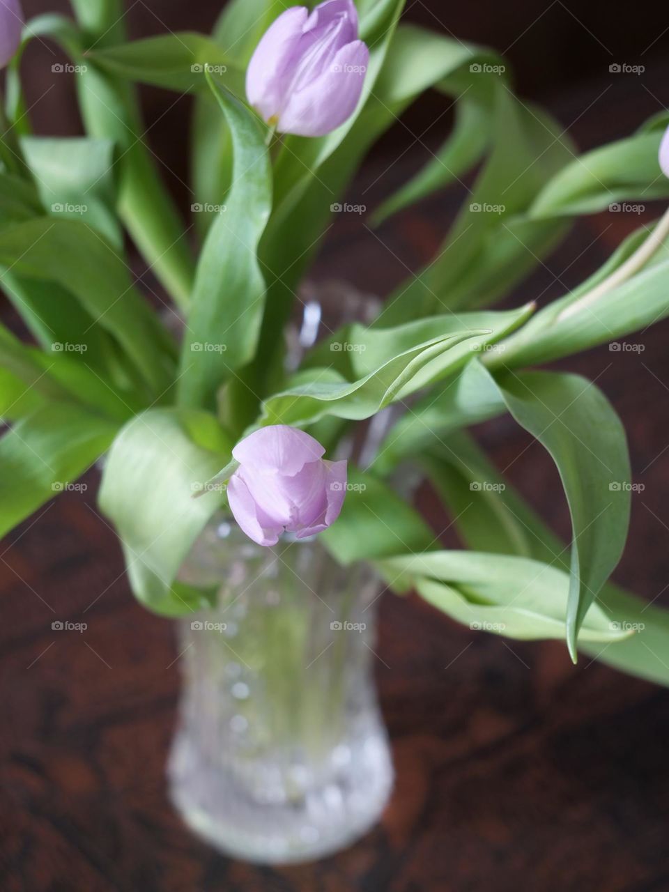 Tulips in vase