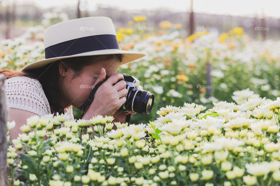 Asian women are taking photos a White chrysanthemum flowers in a flower garden