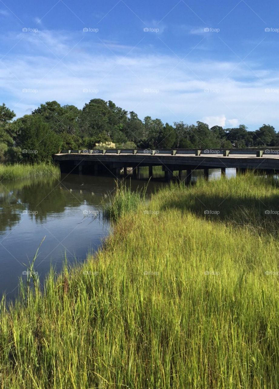 This Narrow  Bridge will lead you to a secret Small Stream where there is a variety of Fish to catch 