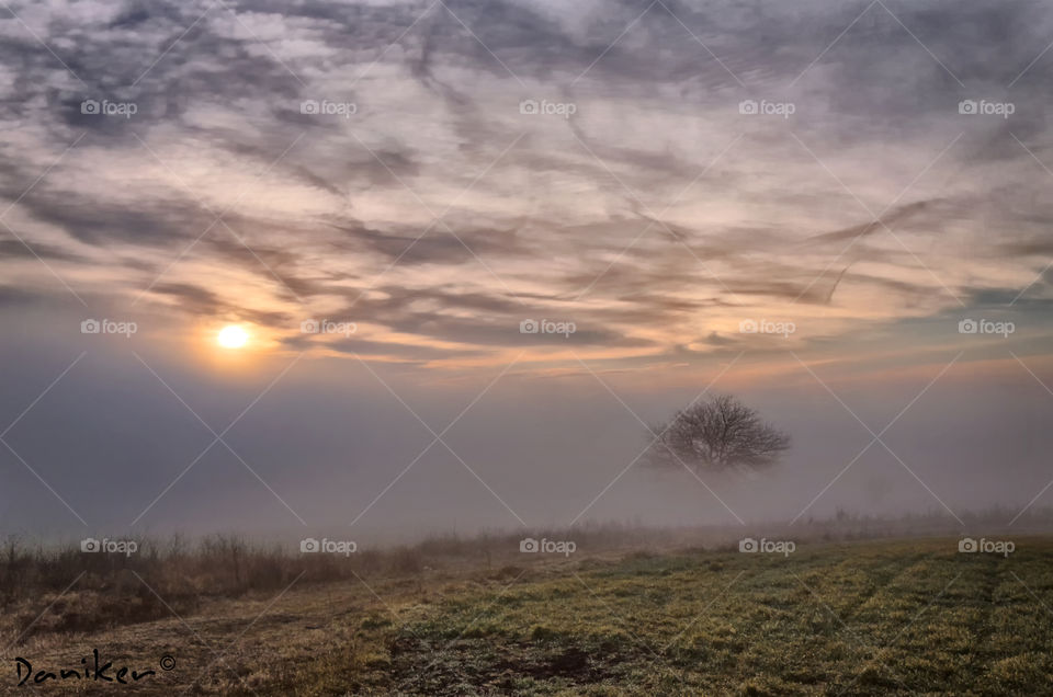 View of foggy morning sky over grassland