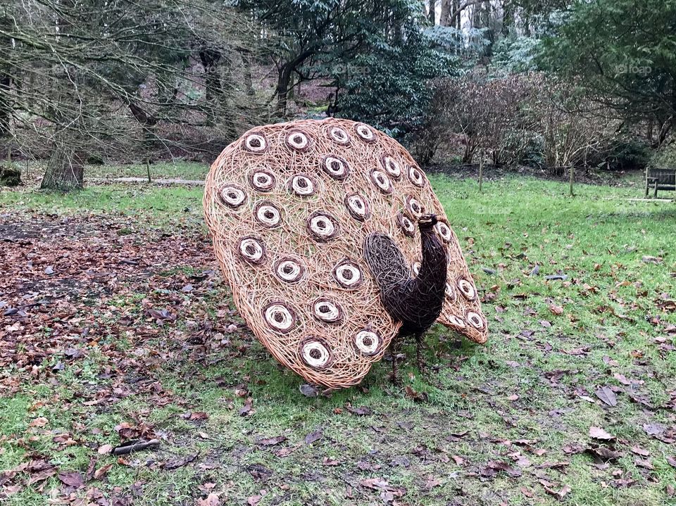 A peacock made of wood, woven together like wicker