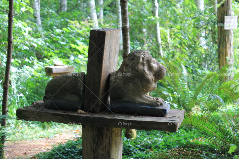 Statue of a lion purposely split in half to make it look like bookends holding a wooden book on a wooden post. From a fun little known curious park in the woods. Another West Coast wonder!