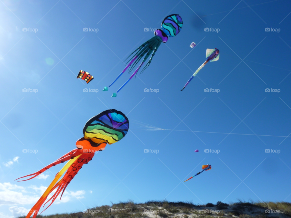 france sky blue kite by jama