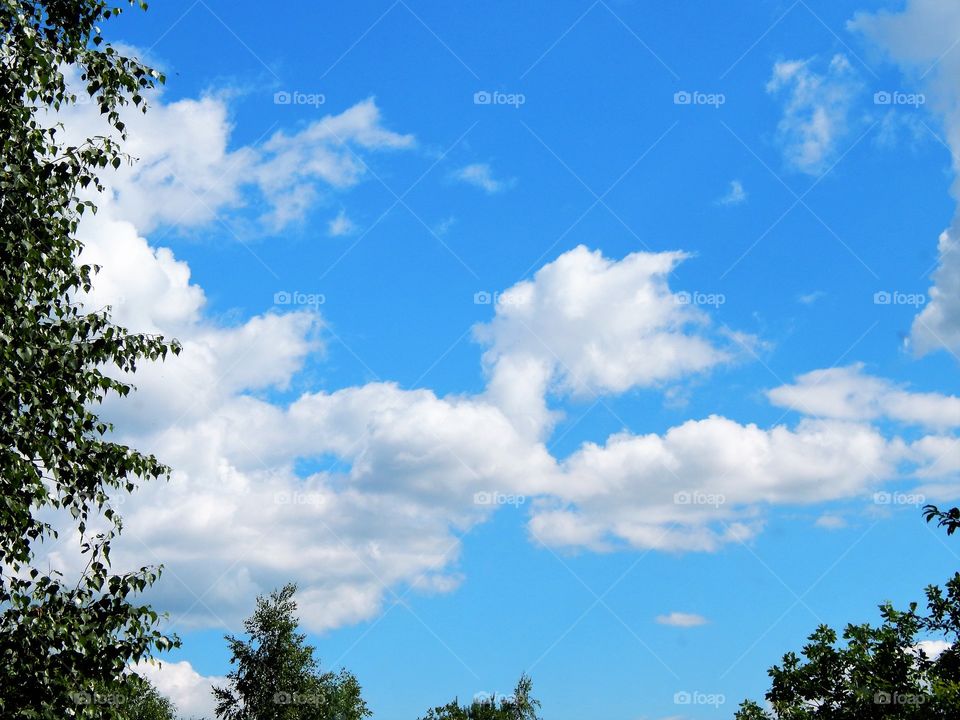 summer clouds