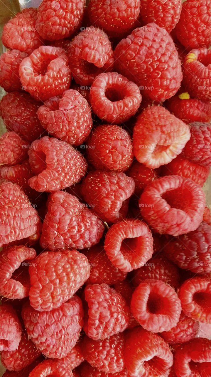 Raspberries