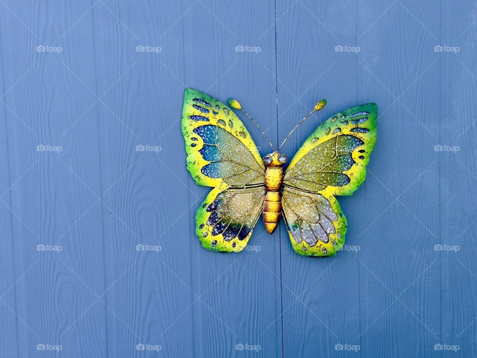 Yellow and green butterfly on the blue background 