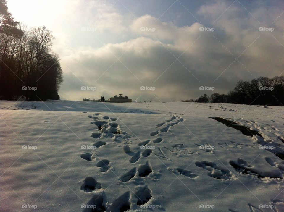 Snows of Vienna, Austria