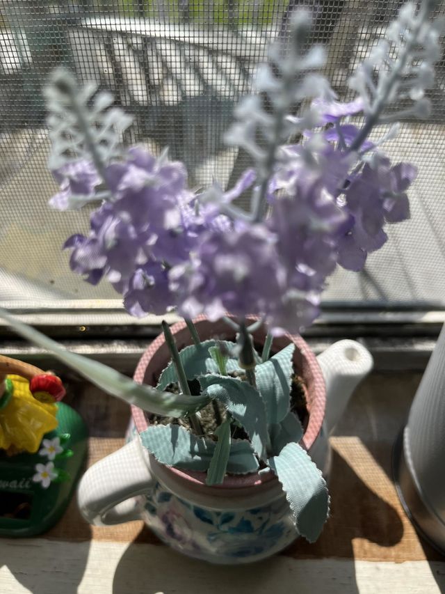 Flowers in vase