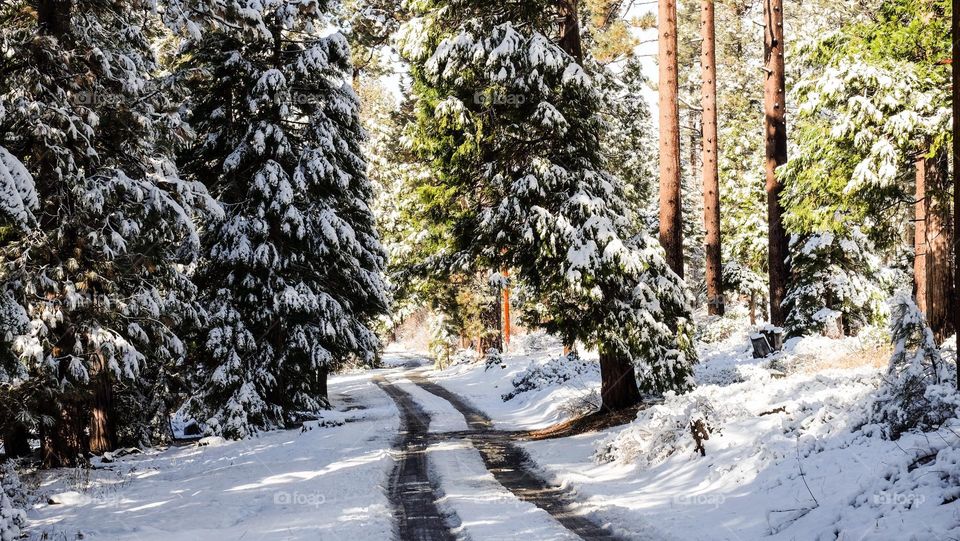 Countryside in winter.