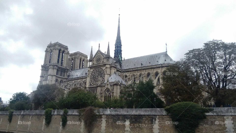 Cathedral of Notre Dame