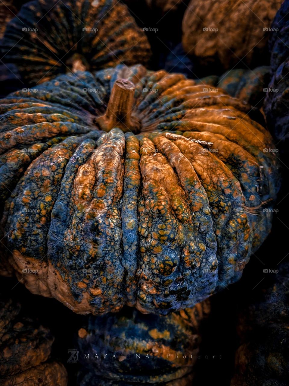 Close up view of a pumpkin skin texture