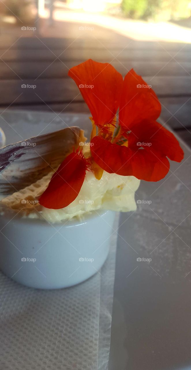 dessert at Mount Tamborine