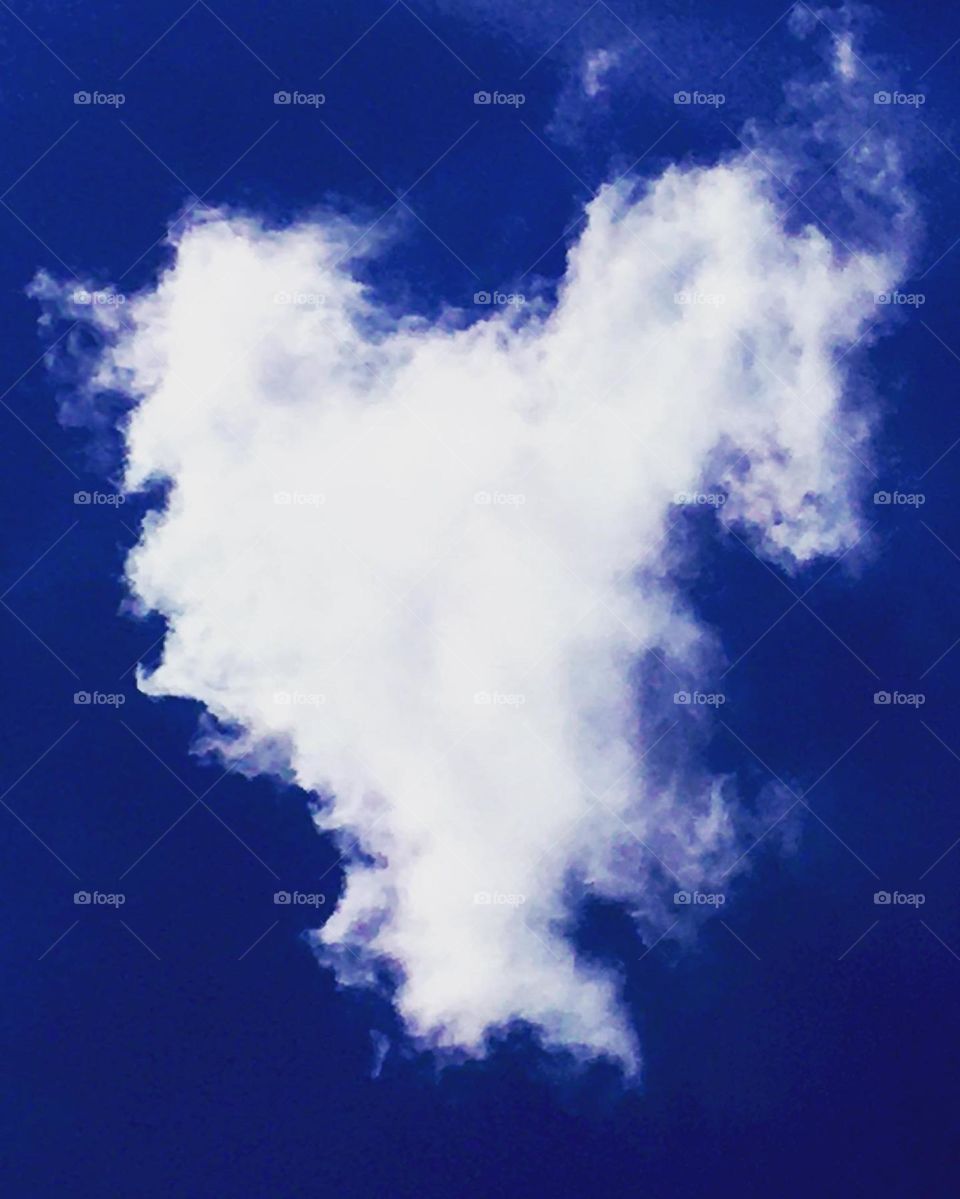 My favorite picture of clouds: I took this heart-shaped image in Serra do Japi, in the city of Jundiaí, in the interior of Brazil! It turned out amazing!