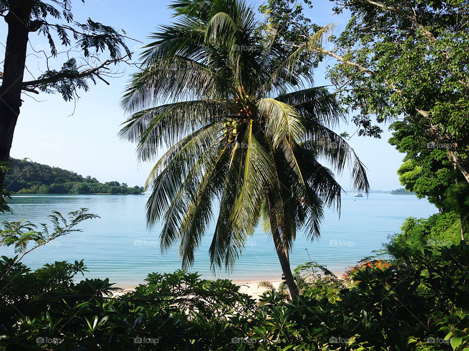 Tropical beach with palm trees in Thailand 