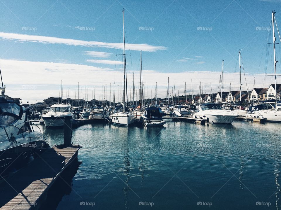 Marina boats in summer