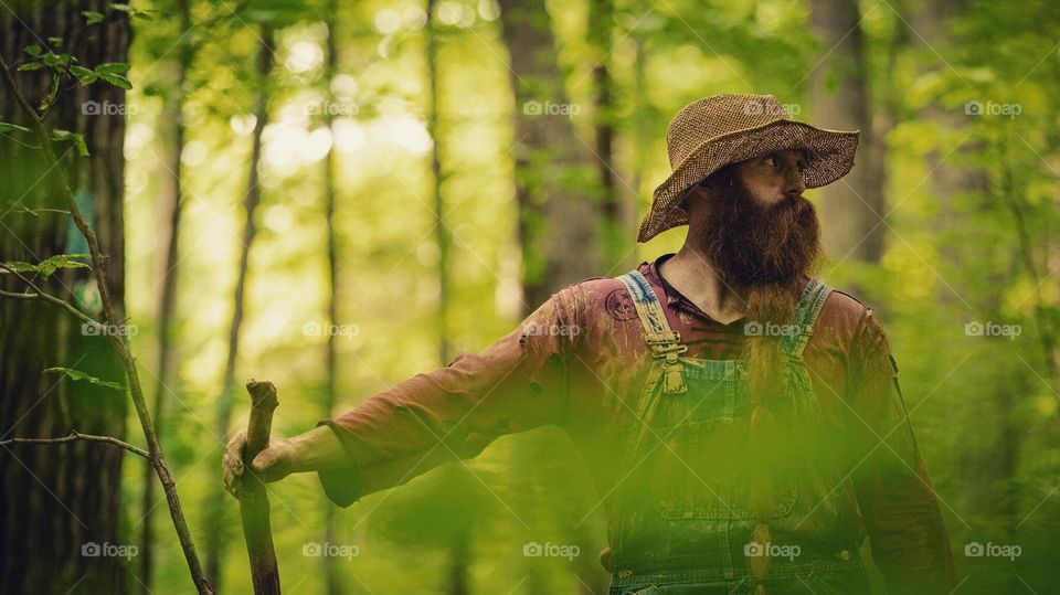 Nature, Wood, Outdoors, Park, Summer