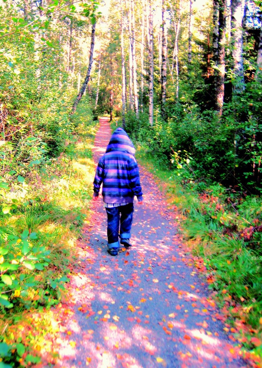 A walk in the autumn woods