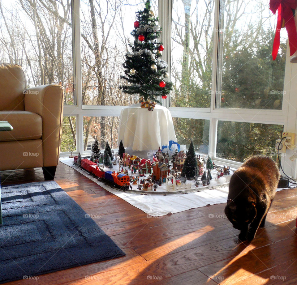 Cat and train set . Preparing 