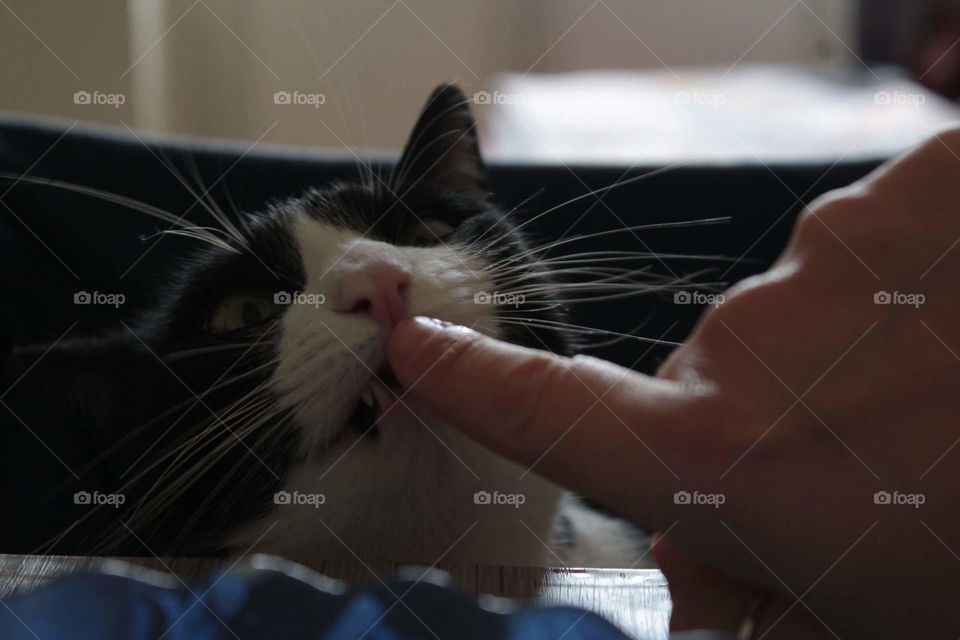 Che buono  questo formaggio!