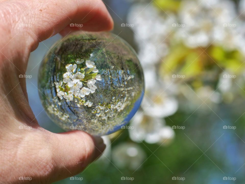 Crystal ball spring feeling