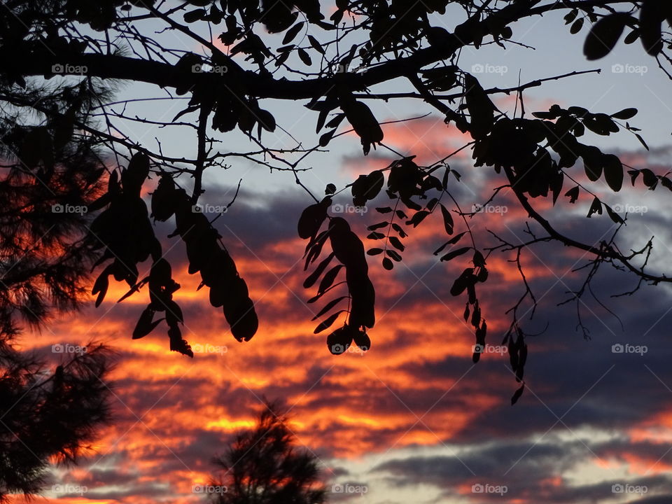 Beautiful sunset in Toledo