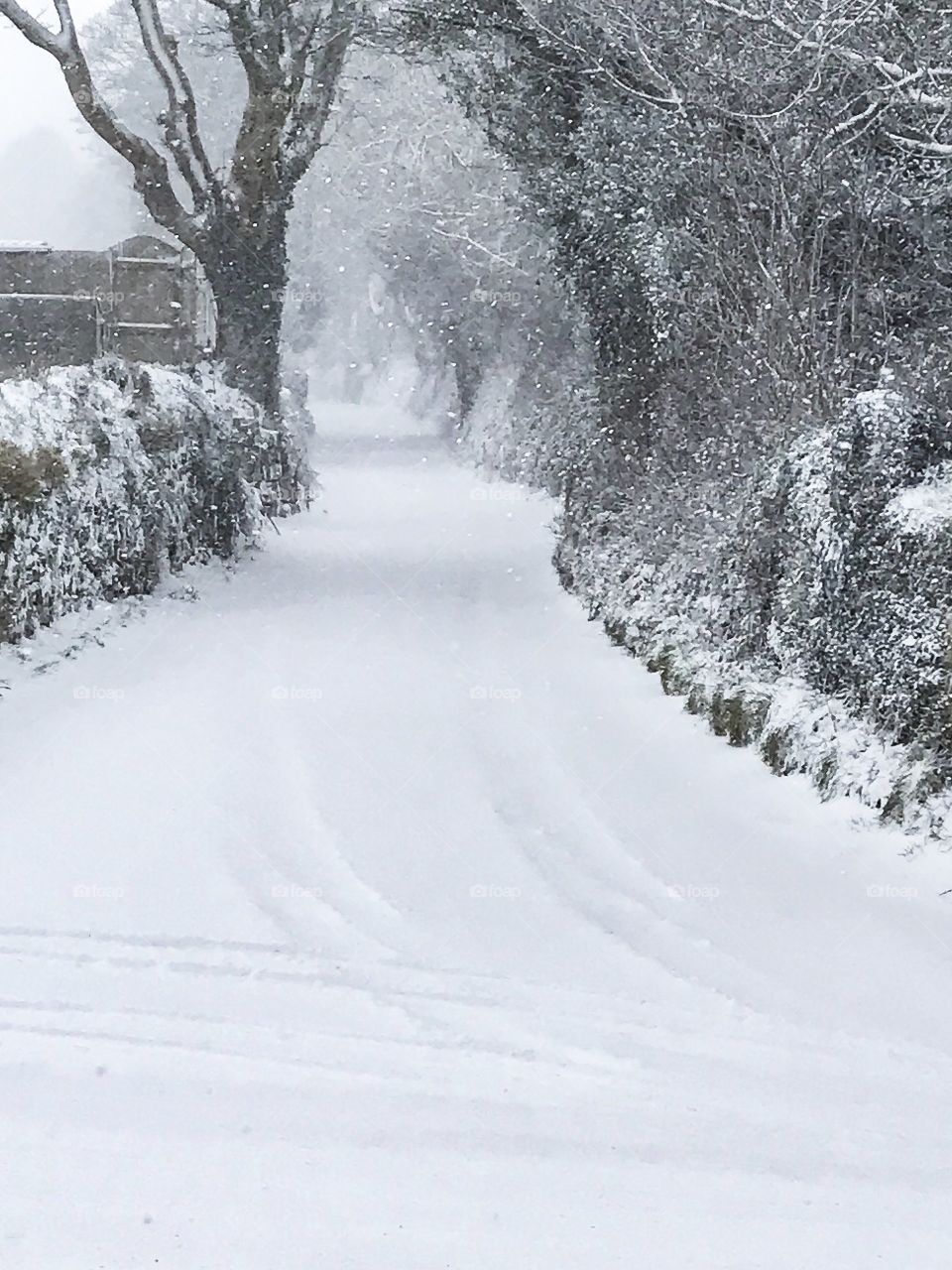 A snowy lane 
