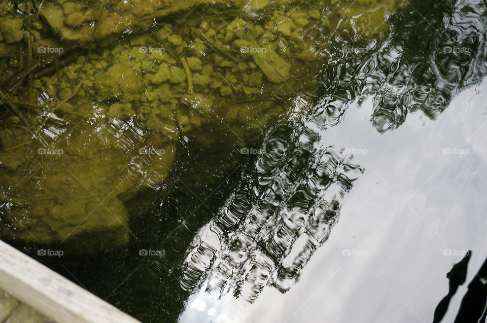 Nature. Quarry Reflections