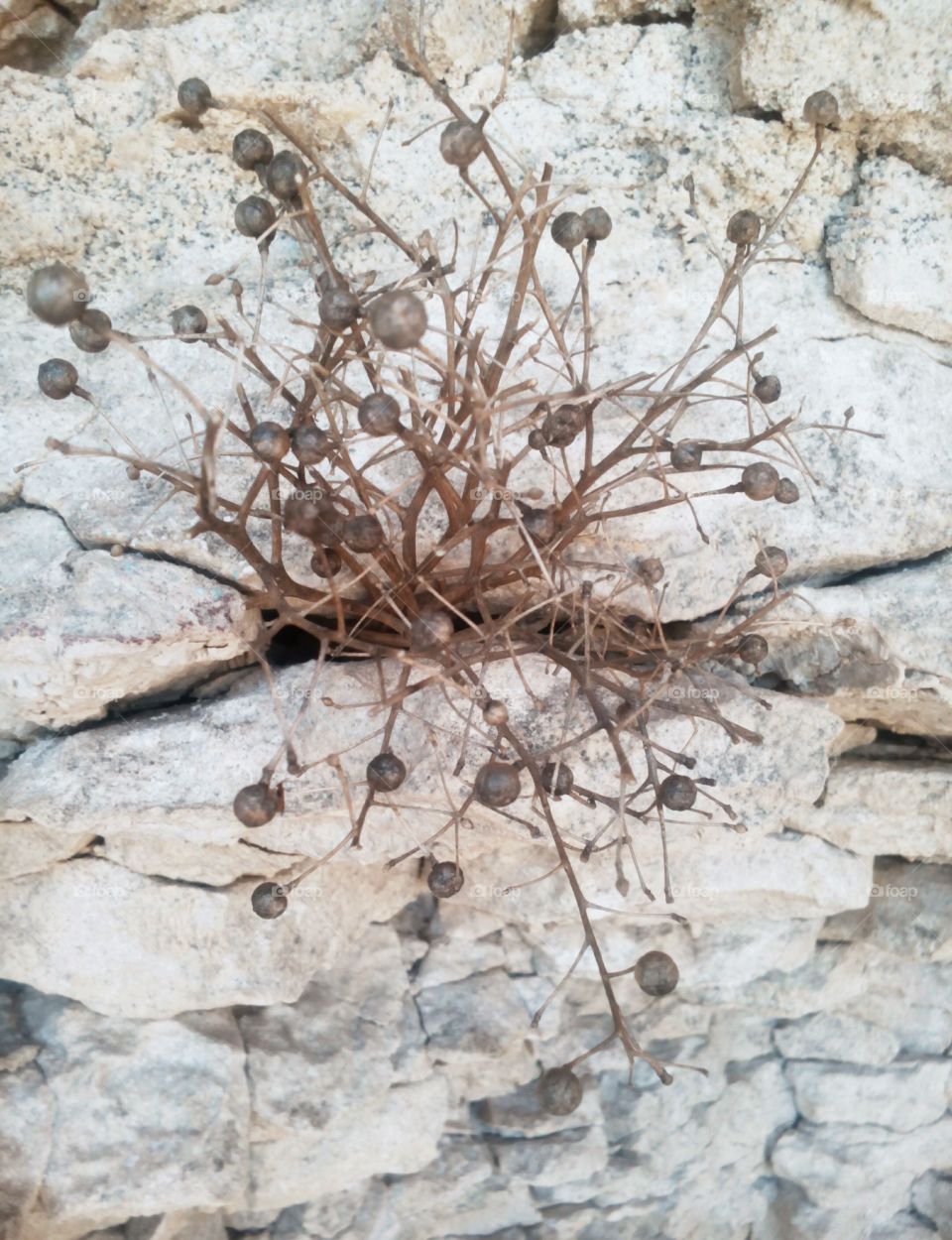 Dry, Desktop, No Person, Nature, Stone