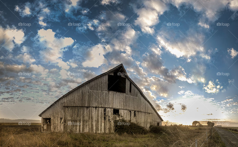 The Old Barn. Panoramic image of an old barn in Northern California.