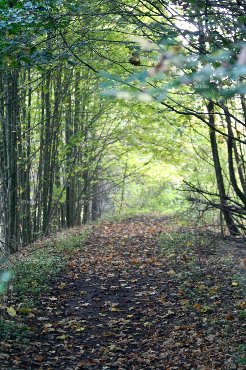 Down the beaten path