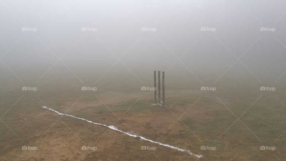 cricket in foggy weather